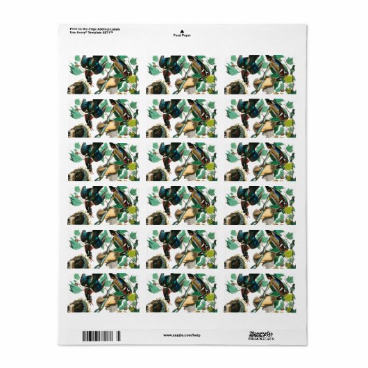 ウッドダックバイジョンジェームズオードゥボン ラベル (フルシート)