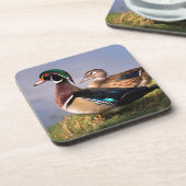 ウッドダック・レイクサイド コースター (左側)