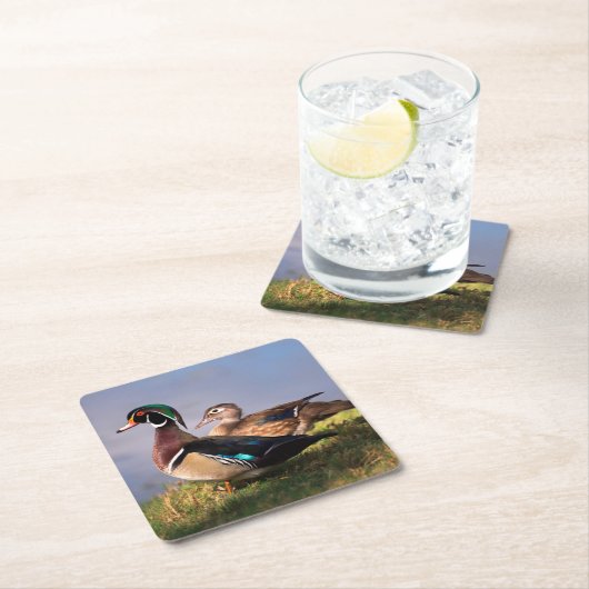 ウッドダック・レイクサイド スクエアペーパーコースター (インサイチュ)