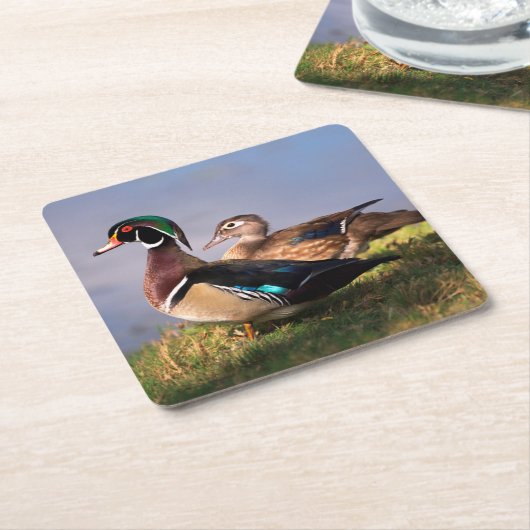 ウッドダック・レイクサイド スクエアペーパーコースター (アングル)