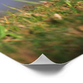 ウッドダック・レイクサイド ポスター (角)