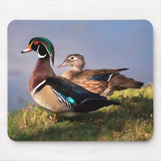 ウッドダック・レイクサイド マウスパッド (正面)