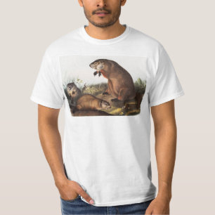ウッドチャックイラストレーション Tシャツ