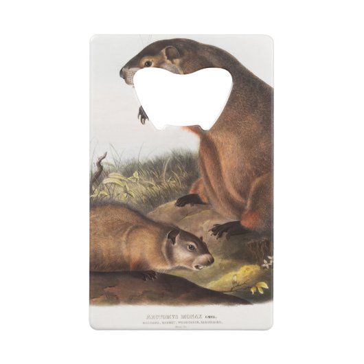 ウッドチャックキャンピングデコギフト クレジットカード栓抜き (裏面)