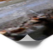 ウッドツグミ ポスター (角)