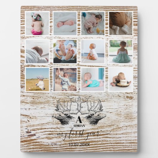 ウッドディアーベビーの初年度フォトコラージュ フォトプラーク (正面)