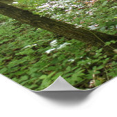 ウッドニンフ ポスター (角)