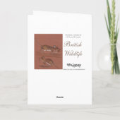 ウッドネズミイギリス野生生物クリスマスカード シーズンカード (裏面)