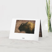 ウッドバイソンバッファロー カード (裏面)