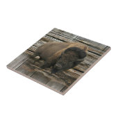 ウッドバイソン タイル (側面)