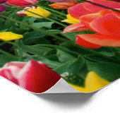 ウッドバーンオレゴンのチューリップファーム春シーズンポスター ポスター (角)