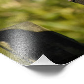 ウッドピジョン フォトプリント            (角)