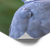 ウッドピジョン ポスター (角)