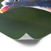 ウッドピジョン ポスター (角)