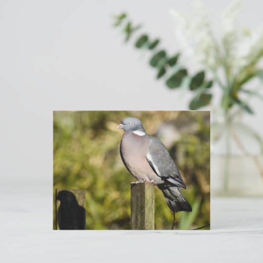 ウッドピジョン ポストカード (スタンド正面)