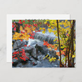 ウッドフォード州パーク ポストカード (正面/裏面)