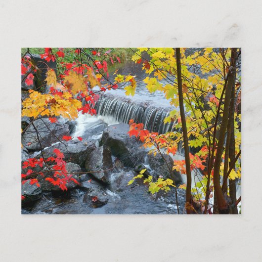 ウッドフォード州パーク ポストカード (正面)