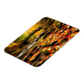 ウッドブリッジアンドクリークイン秋 マグネット (左側)