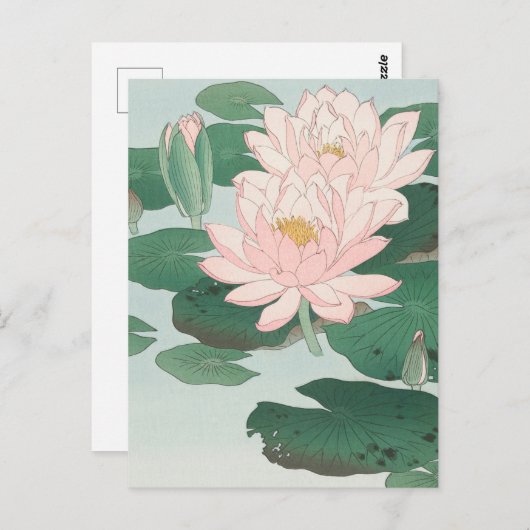 ウッドブ日本のロックアートプリントピンクウォーターリー ポストカード (正面/裏面)