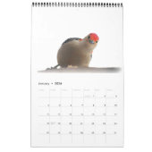 ウッドペッカーの素晴らしい世界2ページカレンダー カレンダー (1月 2026)