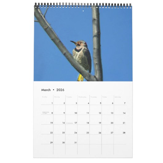 ウッドペッカーの素晴らしい世界2ページカレンダー カレンダー (3月 2026)
