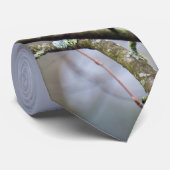 ウッドペッカータイ ネクタイ (ロール)