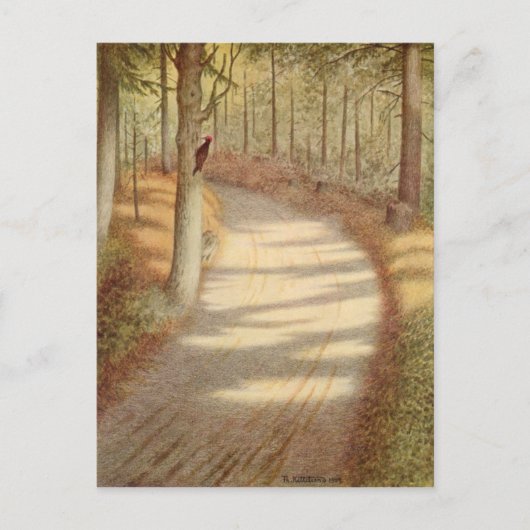 ウッドペッカーバイテオドスセヴェリンキットテルセン ポストカード (正面)