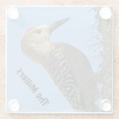 ウッドペッカーフォトファミリー名南西デザートバード ガラスコースター (裏面)