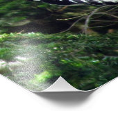 ウッドペッカーフォトプリント フォトプリント            (角)