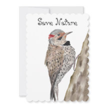 ウッドペッカー水彩装飾用クッション