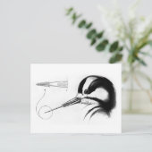 ウッドペッカー舌の解剖学 ポストカード (スタンド正面)