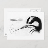 ウッドペッカー舌の解剖学 ポストカード (正面/裏面)