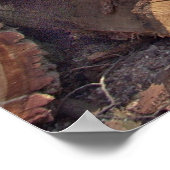 ウッドポスター ポスター (角)