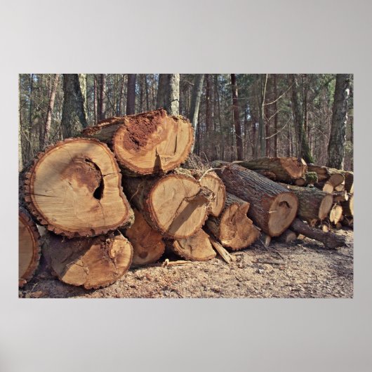 ウッドポスター ポスター (正面)