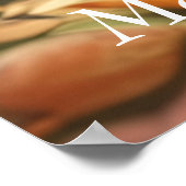 ウッドラお洒落ンドアメリカショートヘア ポスター (角)