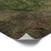 ウッドランドの出会い ポスター (角)