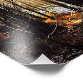 ウッドランドの日の出の風景、ポスター フォトプリント            (角)