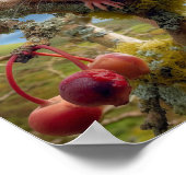 ウッドランドの木に飾り立てたヘイゼルヤマネ ポスター (角)