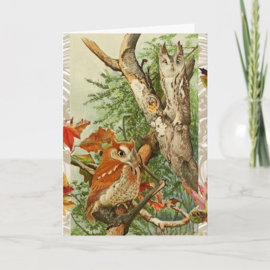 ウッドランドの紅葉の間のフクロウ シーズンカード (正面)