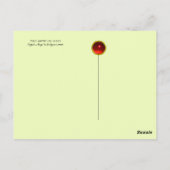 ウッドランドの紅葉の間のフクロウ ポストカード (裏面)