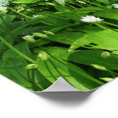 ウッドランドの花 ポスター (角)