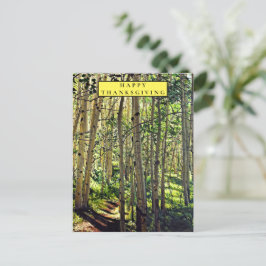 ウッドランドインザ《植物》アスペンホリデーカード シーズンポストカード