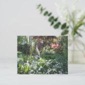 ウッドランドウォーク ポストカード (スタンド正面)