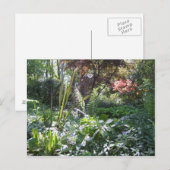 ウッドランドウォーク ポストカード (正面/裏面)