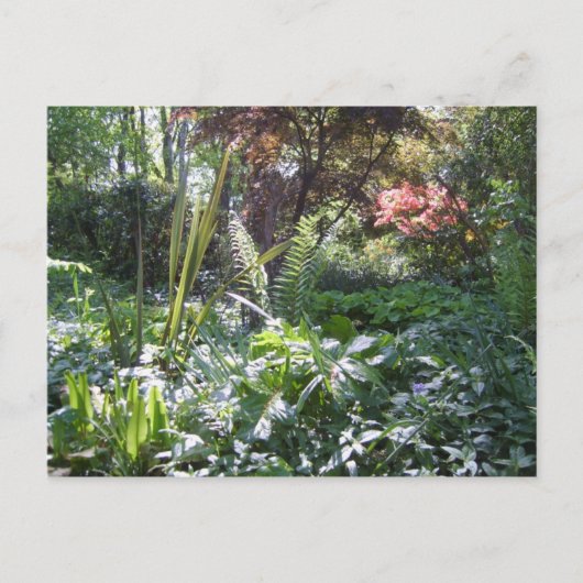 ウッドランドウォーク ポストカード (正面)