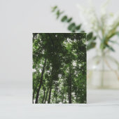 ウッドランドキャノピー01 ポストカード (スタンド正面)