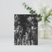 ウッドランドキャノピー01 BW ポストカード (スタンド正面)