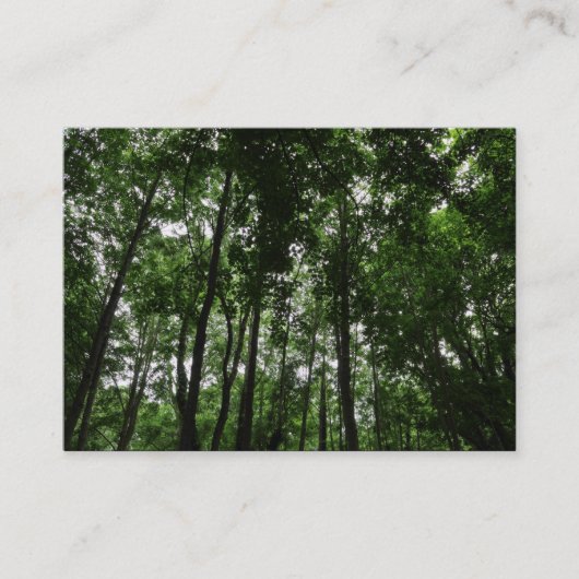 ウッドランドキャノピー02 名刺 (正面)