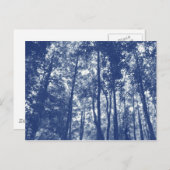 ウッドランドキャノピー – シアノタイプエフェクト ポストカード (正面/裏面)