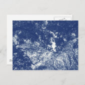 ウッドランドキャノピー(02) – シアノタイプ効果 ポストカード (正面/裏面)
